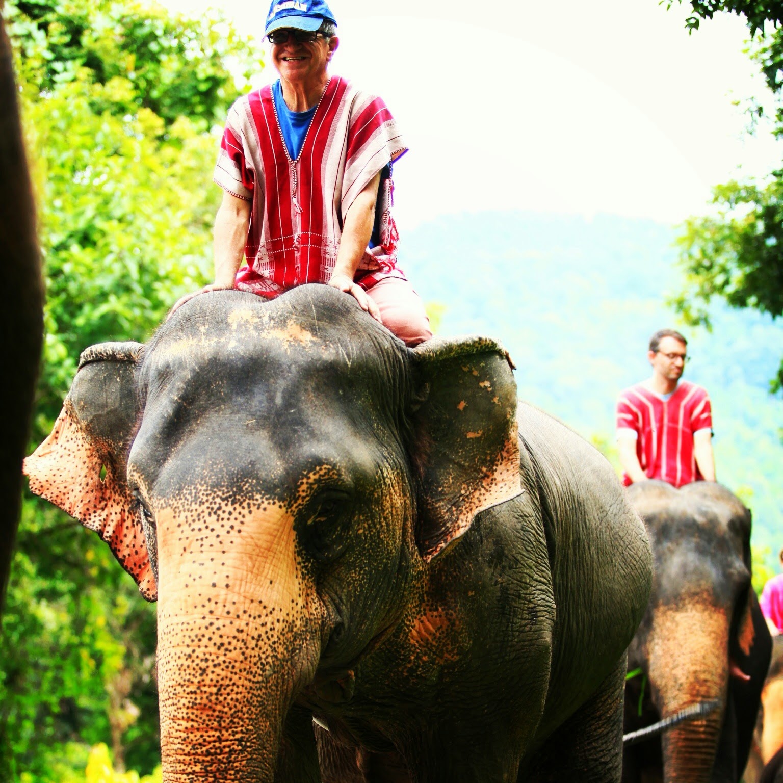 Dr. Rob Pasick smiling while riding an elephant